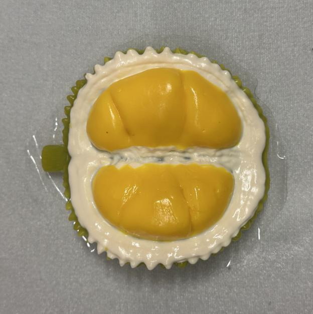 JC1151-Medium Durian