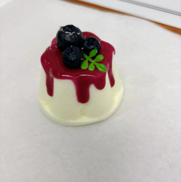 JC1162-Blueberry Pudding