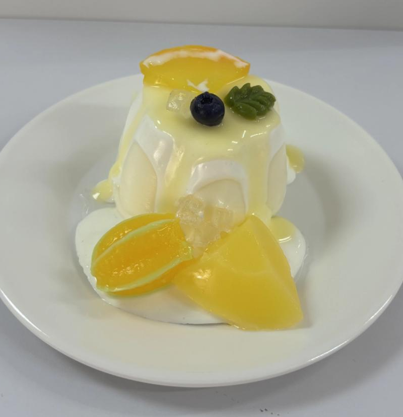 JC1163-Orange Burst Fruit Pudding